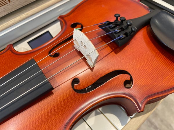 Tips on Violin Maintenance and Care